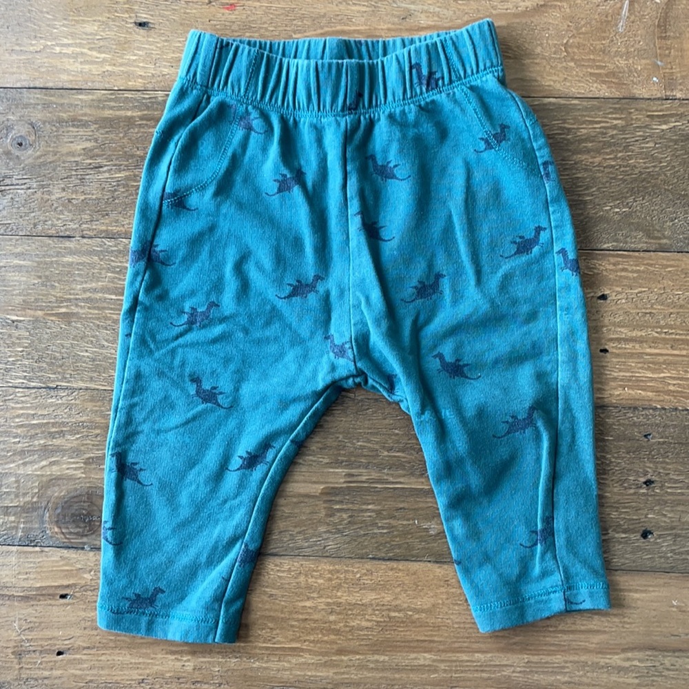 Zara pants
